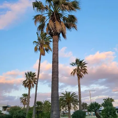 Twin Palms